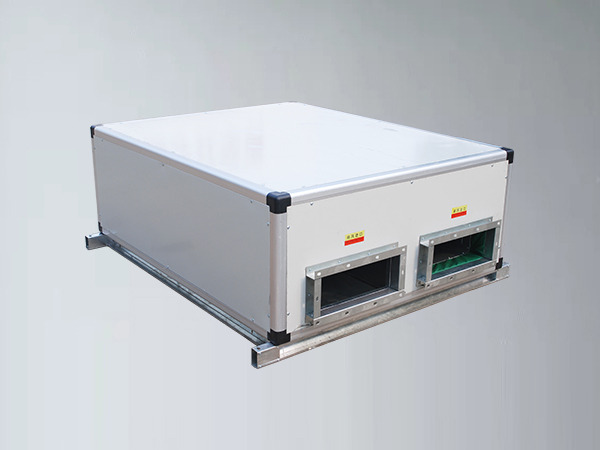 商用新風(fēng)換氣機(jī)